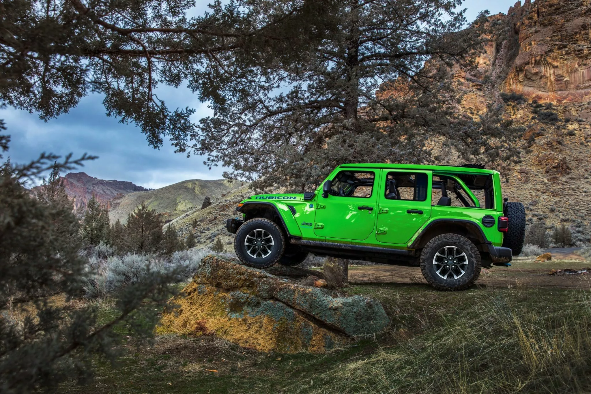 Mojito Green Jeep Gladiator in Dasnville, NY